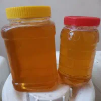 عسل طبیعی مونگشت