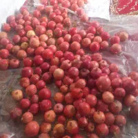 انار درجه یک دارم