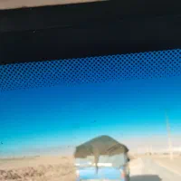 کود  مرغ موجود است|گل و گیاه طبیعی|جیرفت, |دیوار