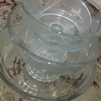 ظروف پذیرایی و دیس