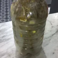 خیار شور