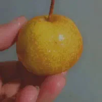 خوج    ابکرده آلبالو آلوچه ازگیل سیر