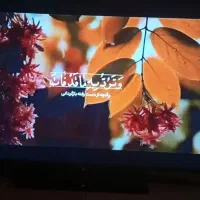 تلویزیون LED 50اینچ Full HD|تلویزیون و پروژکتور|ارومیه, |دیوار