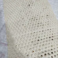 شاطر بربری