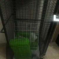 چرخ دستی،مغازه،انباری،قفس حیوان