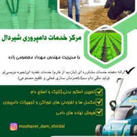طراحی بنر و لوگو واستوری موشن|خدمات رایانه‌ای و موبایل|اردبیل, |دیوار