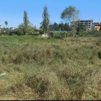 زمین مناسب شهرک سازی یا آپارتمان سازی