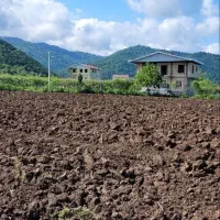 14000متر زمین مسکونی باغی بابر200متر لیسار تالش|فروش زمین و ملک کلنگی|لیسار, |دیوار