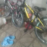 دوچرخه ۲۴و۲۶|دوچرخه، اسکیت، اسکوتر|ماهنشان, |دیوار