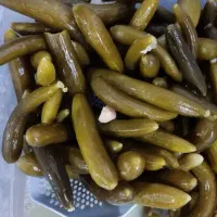 خیارشور همدان