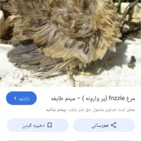 خروس