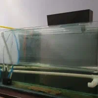 اکواریوم شیشه خم شرکتی|ماهی|فردیس, شهرک هفده شهریور|دیوار