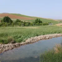 باغ در پنج کیلومتری هریس|فروش زمین و ملک کلنگی|هریس, |دیوار