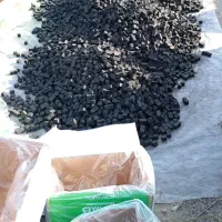 ذغال حبه نارگیل