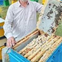 معاوضه عسل با برنج محلی