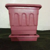 فروش گلدان ب صورت عمده|گل و گیاه طبیعی|الیگودرز, |دیوار