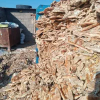 نان خشک|لوازم جانبی حیوانات|تربت جام, جلگه موسی آباد|دیوار