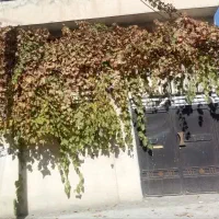 132 متری  ویلایی دو طبقه قطعه دوم کوچه خیابان اصلی
