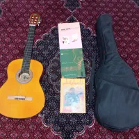 گیتار دیامون|گیتار، بیس، امپلیفایر|زنجان, |دیوار