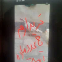 بوقلمون اسلیت ماده