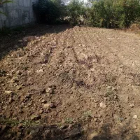 فروش یک قطعه زمین