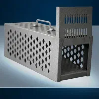 تله موش صحرائی