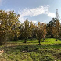 زمین بافت مسکونی با چشم انداز فوق العاده|فروش زمین و ملک کلنگی|گلوگاه, |دیوار