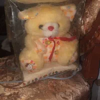 عروسک خرس|اسباب‌بازی بچه|ارومیه, |دیوار