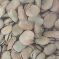 باقالی بهشهر طارم خوش پخت خوش بو