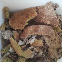 نون خشک