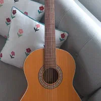 گیتار پارسی مدل ام ۵