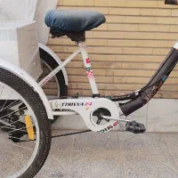 سه چرخه بزرگسال و دوچرخه 24