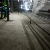 وسایل پرورش قارچ