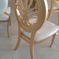 صندلی absراجا/تالار.رستوران هتل|عمدهفروشی|زاغه, |دیوار