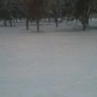 هم-خونه-میشم