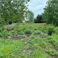 فروش فوری ۱۳۸۴ متر مسکونی فقط فقط متری ۳/۵ میلیون