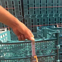 کارخانه سبدسازی|ظروف نگهدارنده، پلاستیکی، یکبارمصرف|محمدشهر, زیبادشت|دیوار