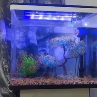 اکواریوم شرکتی دلسا k500