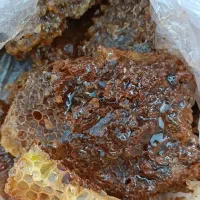 عسل دار (عسل کمر) طبیعی شرط آزمایش