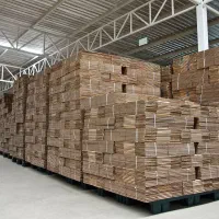 کارتن سازی و جعبه سازی|عمدهفروشی|تهران, تهرانسر مرکزی|دیوار