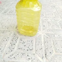 دبه|ظروف نگهدارنده، پلاستیکی، یک‌بارمصرف|ایلام, |دیوار