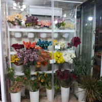 گل طبیعی|گل و گیاه طبیعی|قزوین, |دیوار