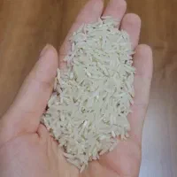 برنج فجر گرگان|خوردنی و آشامیدنی|گرگان, |دیوار