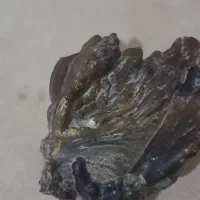 شحاب سنگ|کلکسیون اشیاء عتیقه|باوی, |دیوار