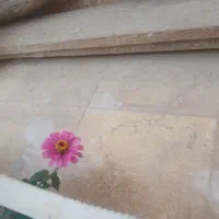 تخته بنایی روسی