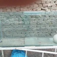 آکواریوم بزرگ با میز زیرش