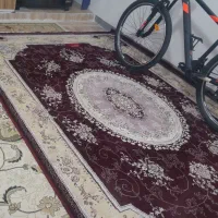 ۱ عدد فرش ۶ متری سلطنتی ترو تمیز ۲۰۰۰۰۰۰ ملیون|فرش|جوانرود, |دیوار