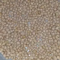 فروش نخودی دیزی