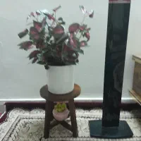 یک عددگلدان مصنوعی زیبا