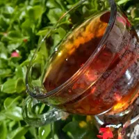 چای ارگانیک بهاره گیلان